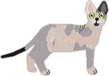 Levant
